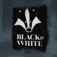Black & White Badger Panel by Thorsten Berger